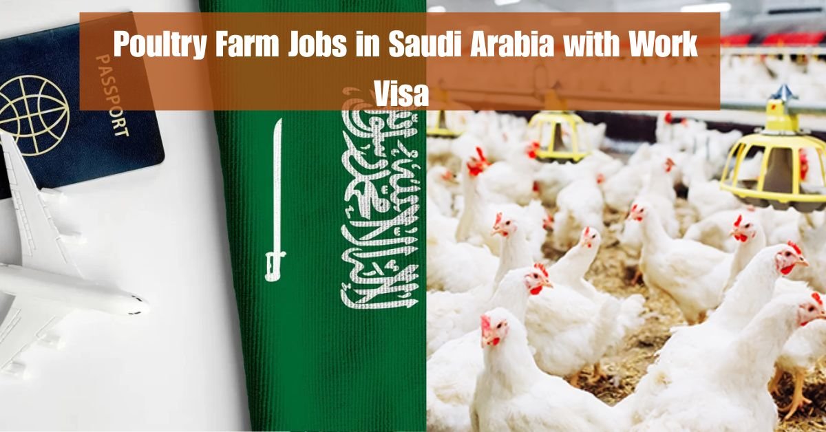 Poultry Farm Jobs in Saudi Arabia with Work Visa (Iqama) – Salary 2,000–5,000 SAR & Job